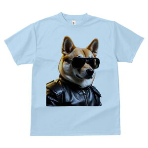 Č TVc  j[NfUCfB[X t@  t vg lJWA 킢 lԗp Mtg I ҏ΍ TOX Č U[WPbg