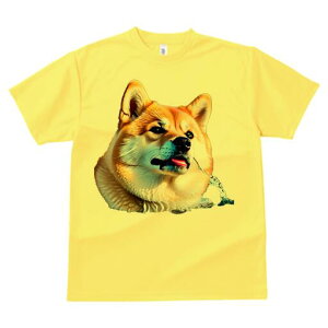 Č TVc  j[NfUCfB[X t@  t vg lJWA 킢 lԗp Mtg I ҏ΍ Ԃ Č