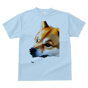 Č TVc  j[NfUCfB[X t@  t vg lJWA 킢 lԗp Mtg I ҏ΍ Č