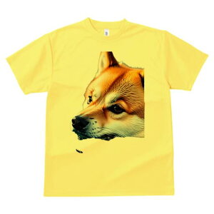 Č TVc  j[NfUCfB[X t@  t vg lJWA 킢 lԗp Mtg I ҏ΍ Č