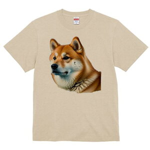 Č TVc  j[NfUCfB[X t@  t vg lJWA 킢 lԗp Mtg I ҏ΍ Č