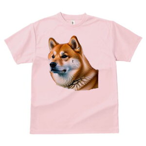 Č TVc  j[NfUCfB[X t@  t vg lJWA 킢 lԗp Mtg I ҏ΍ Č