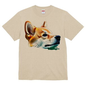 R[M[ TVc  j[NfUCfB[X t@  t vg lJWA 킢 lԗp Mtg I ҏ΍ R[M[