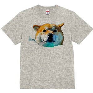 Č TVc  j[NfUCfB[X t@  t vg lJWA 킢 lԗp Mtg I ҏ΍  Č Ԃ