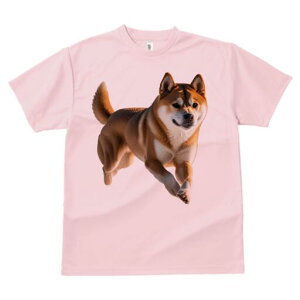 Č TVc  j[NfUCfB[X t@  t vg lJWA 킢 lԗp Mtg I ҏ΍ Č