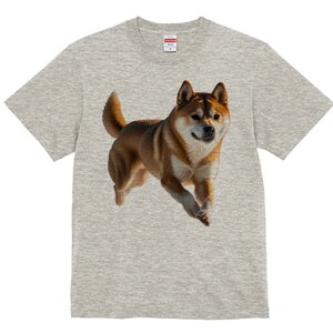 Č TVc  j[NfUCfB[X t@  t vg lJWA 킢 lԗp Mtg I ҏ΍ Č