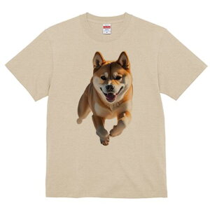 Č TVc  j[NfUCfB[X t@  t vg lJWA 킢 lԗp Mtg I ҏ΍ Č