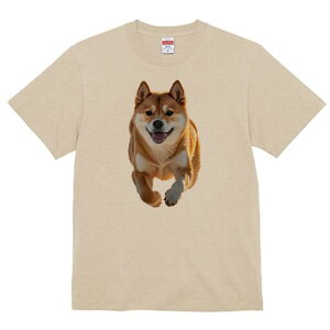 Č TVc  j[NfUCfB[X t@  t vg lJWA 킢 lԗp Mtg I ҏ΍ Č