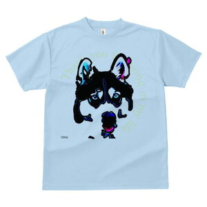 nXL[ TVc  j[NfUCfB[X t@  t vg lJWA 킢 lԗp Mtg I ҏ΍ nXL[