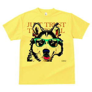 VxAnXL[ TVc  j[NfUCfB[X t@  t vg lJWA 킢 lԗp Mtg I ҏ΍ TOX VxAnXL[