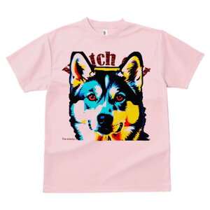 nXL[ TVc  j[NfUCfB[X t@  t vg lJWA 킢 lԗp Mtg I ҏ΍ nXL[