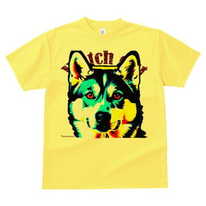 nXL[ TVc  j[NfUCfB[X t@  t vg lJWA 킢 lԗp Mtg I ҏ΍ nXL[