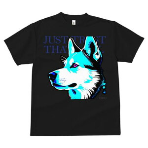 nXL[ TVc  j[NfUCfB[X t@  t vg lJWA 킢 lԗp Mtg I ҏ΍ nXL[