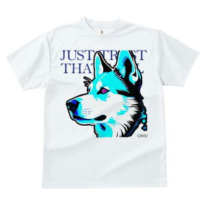 nXL[ TVc  j[NfUCfB[X t@  t vg lJWA 킢 lԗp Mtg I ҏ΍ nXL[