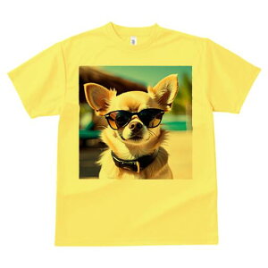 ` TVc  j[NfUCfB[X t@  t vg lJWA 킢 lԗp Mtg I ҏ΍ TOX `  ][g