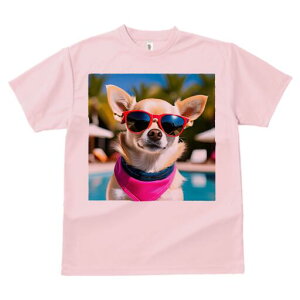 ` TVc  j[NfUCfB[X t@  t vg lJWA 킢 lԗp Mtg I ҏ΍ TOX ` o_i v[