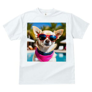 ` TVc  j[NfUCfB[X t@  t vg lJWA 킢 lԗp Mtg I ҏ΍ TOX ` o_i v[