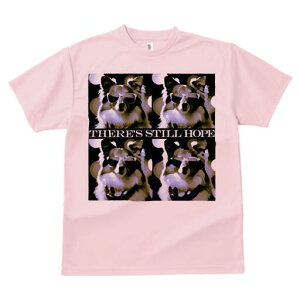 VFbghV[vhbO TVc  j[NfUCfB[X t@  t vg lJWA 킢 lԗp Mtg I ҏ΍ TOX VFbghV