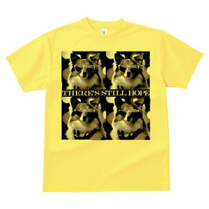 VFbghV[vhbO TVc  j[NfUCfB[X t@  t vg lJWA 킢 lԗp Mtg I ҏ΍ TOX VFbghV