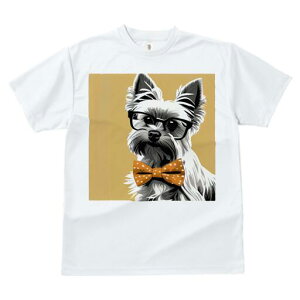 [NV[eA TVc  j[NfUCfB[X t@  t vg lJWA 킢 lԗp Mtg I ҏ΍ Kl [NV[eA lN^