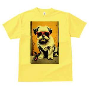 V[Y[ TVc  j[NfUCfB[X t@  t vg lJWA 킢 lԗp Mtg I ҏ΍ TOX V[Y[