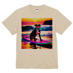 AJsbgueA TVc  j[NfUCfB[X t@  t vg lJWA 킢 lԗp Mtg I ҏ΍ T[tB AJsbg