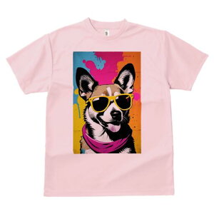 R[M[ TVc  j[NfUCfB[X t@  t vg lJWA 킢 lԗp Mtg I ҏ΍ TOX R[M[ o_i OtBeB