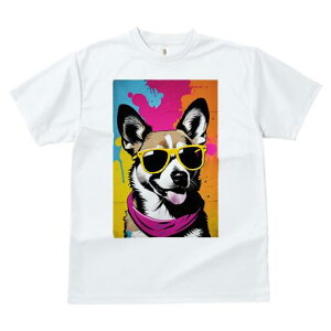 R[M[ TVc  j[NfUCfB[X t@  t vg lJWA 킢 lԗp Mtg I ҏ΍ TOX R[M[ o_i OtBeB