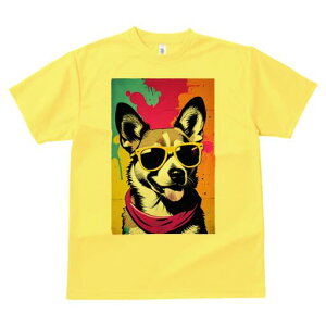 R[M[ TVc  j[NfUCfB[X t@  t vg lJWA 킢 lԗp Mtg I ҏ΍ TOX R[M[ o_i OtBeB