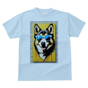 R[M[ TVc  j[NfUCfB[X t@  t vg lJWA 킢 lԗp Mtg I ҏ΍ TOX R[M[ A[g |bvA[g 