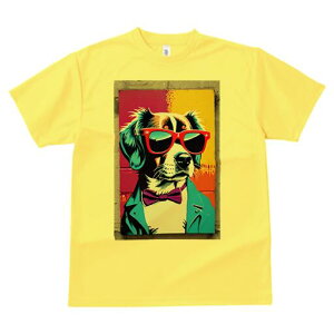 {[_[R[ TVc  j[NfUCfB[X t@  t vg lJWA 킢 lԗp Mtg I ҏ΍ TOX {[_[R[ lN^C |