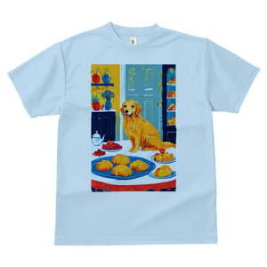 S[fgo[ TVc  j[NfUCfB[X t@  t vg lJWA 킢 lԗp Mtg I ҏ΍ Ăَq S[fgo[ P