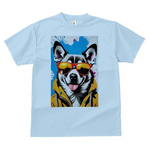 R[M[ TVc  j[NfUCfB[X t@  t vg lJWA 킢 lԗp Mtg I ҏ΍ TOX R[M[ p[J[ OtBeB |b