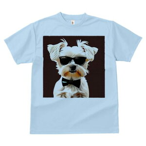 }`[Y TVc  j[NfUCfB[X t@  t vg lJWA 킢 lԗp Mtg I ҏ΍ TOX }`[Y lN^C