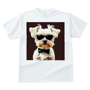 }`[Y TVc  j[NfUCfB[X t@  t vg lJWA 킢 lԗp Mtg I ҏ΍ TOX }`[Y lN^C