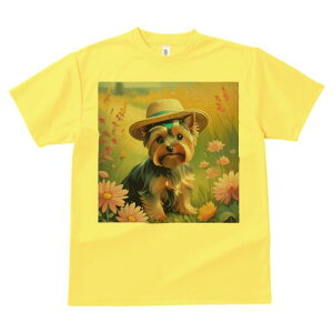 [NV[eA TVc  j[NfUCfB[X t@  t vg lJWA 킢 lԗp Mtg I ҏ΍ Xq [NV[eA 