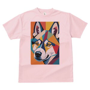 nXL[ TVc  j[NfUCfB[X t@  t vg lJWA 킢 lԗp Mtg I ҏ΍ 􉽊w͗l nXL[ A[g