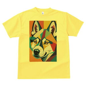 nXL[ TVc  j[NfUCfB[X t@  t vg lJWA 킢 lԗp Mtg I ҏ΍ 􉽊w͗l nXL[ A[g