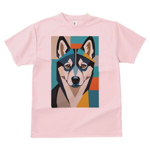 nXL[ TVc  j[NfUCfB[X t@  t vg lJWA 킢 lԗp Mtg I ҏ΍ 􉽊w͗l nXL[ A[g