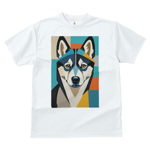 nXL[ TVc  j[NfUCfB[X t@  t vg lJWA 킢 lԗp Mtg I ҏ΍ 􉽊w͗l nXL[ A[g