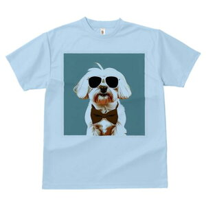 }`[Y TVc  j[NfUCfB[X t@  t vg lJWA 킢 lԗp Mtg I ҏ΍ TOX }`[Y lN^C