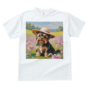 [NV[eA TVc  j[NfUCfB[X t@  t vg lJWA 킢 lԗp Mtg I ҏ΍ Xq [NV[eA 