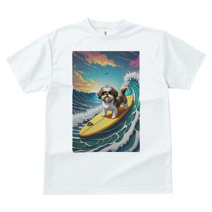 V[Y[ TVc  j[NfUCfB[X t@  t vg lJWA 킢 lԗp Mtg I ҏ΍ g V[Y[ T[tB C 