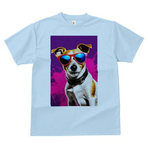 WbNbZeA TVc  j[NfUCfB[X t@  t vg lJWA 킢 lԗp Mtg I ҏ΍ TOX WbNbZe