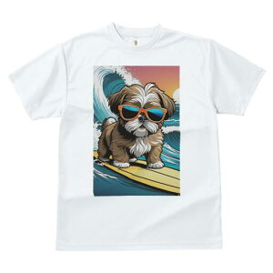 V[Y[ TVc  j[NfUCfB[X t@  t vg lJWA 킢 lԗp Mtg I ҏ΍ g V[Y[ T[tB TOX C