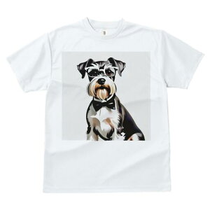 ~j`AViEU[ TVc  j[NfUCfB[X t@  t vg lJWA 킢 lԗp Mtg I ҏ΍ Kl ~j`AViEU[ 