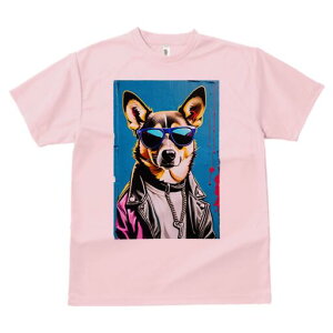 R[M[ TVc  j[NfUCfB[X t@  t vg lJWA 킢 lԗp Mtg I ҏ΍ TOX R[M[ WPbg lbNX