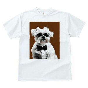 }`[Y TVc  j[NfUCfB[X t@  t vg lJWA 킢 lԗp Mtg I ҏ΍ TOX }`[Y lN^C