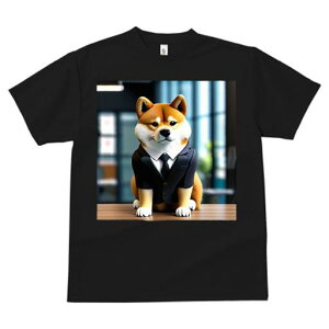 Č TVc  j[NfUCfB[X t@  t vg lJWA 킢 lԗp Mtg I ҏ΍ X[c Č lN^C