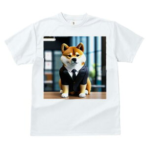 Č TVc  j[NfUCfB[X t@  t vg lJWA 킢 lԗp Mtg I ҏ΍ X[c Č lN^C